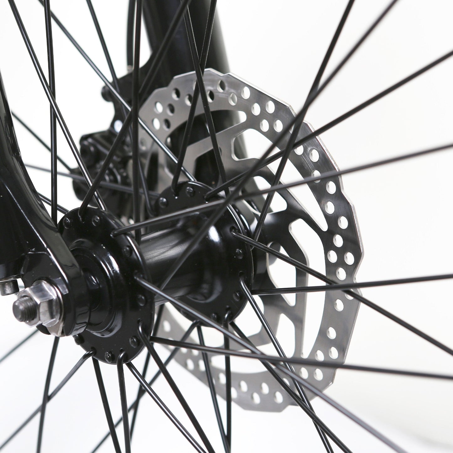 disc brake for Santa Monica