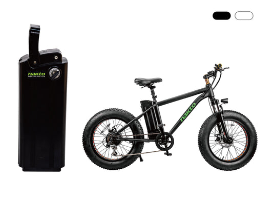 Ebike Battery Replacement for Mini Cruiser 2