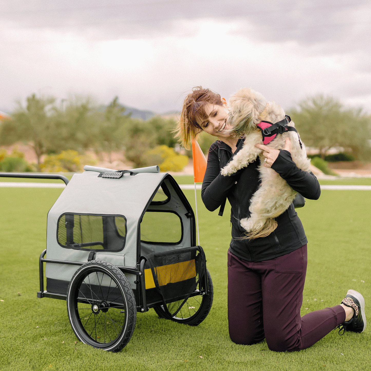 Pet Bike Trailer